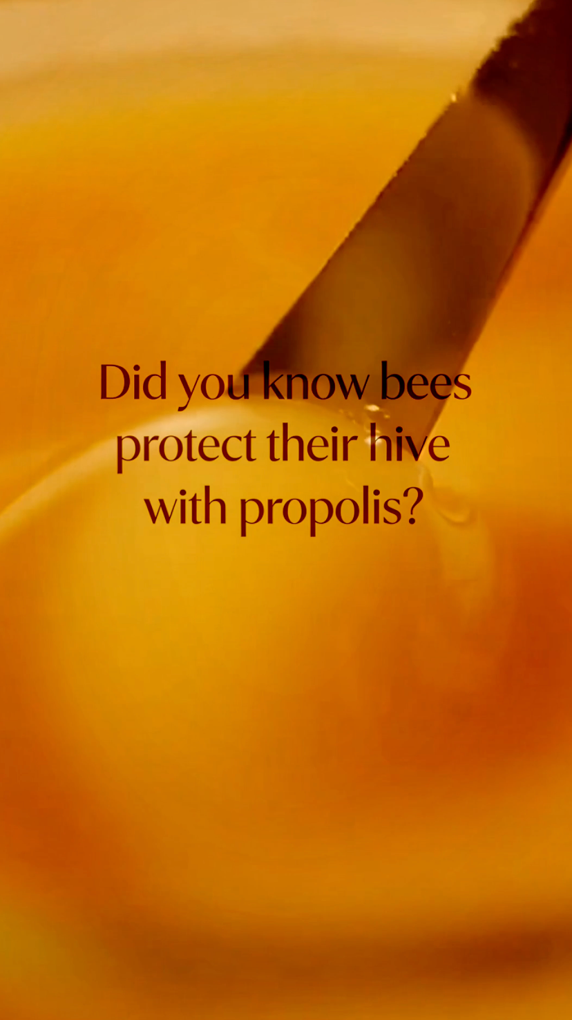 Premium product styling and details